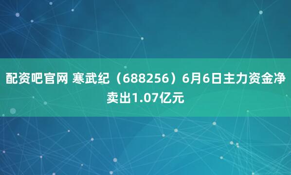 配资吧官网 寒武纪（688256）6月6日主力资金净卖出1.07亿元